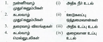 கீழ்க்கண்டவற்றைப் பொருத்தி சரியான விடையைக் கண்டறி.