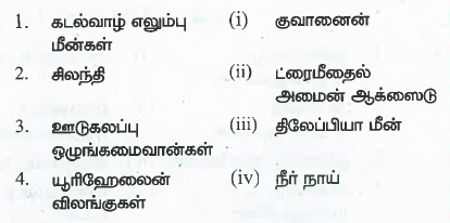 கீழ்க்கண்டவற்றைப் பொருத்தி சரியான விடையைக் கண்டறி.