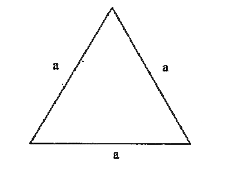 Each side of equilateral triangle is denoted by 'a' then express the perimeter of the triangle using 'a'.