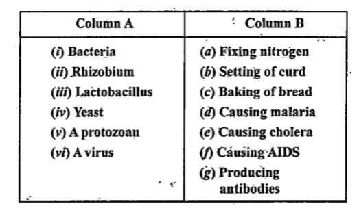 Match the organisms in Column A with their action in Column B.