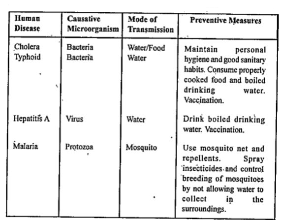 human diseases caused by viruses