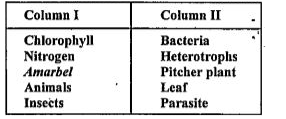 Match the items given in Column I with those in Column II: