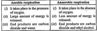 ocr_image