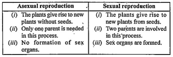 State the main difference between asexual and sexual reproduction.
