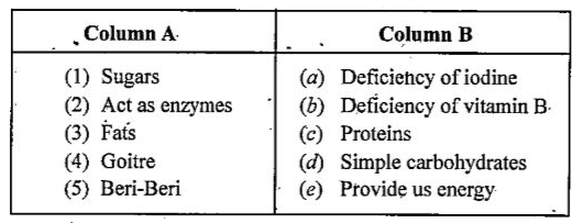 Match The Column A With Column B