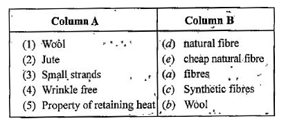 Match The Column A With Column B