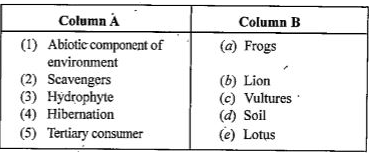 Match The Column A With Column B