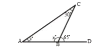 Find the measure of angles x and y.