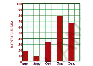 Observe the graph showing rainfall (in mm) of a place from August to December. Write down the observations from it.