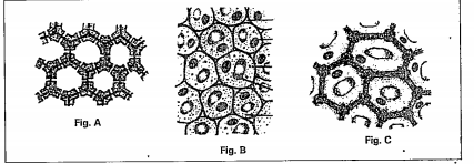 Which one of them provides both mechanical strength as well as flexibility?