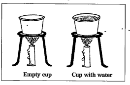 Understanding ignition temperature. Take two small paper cups. Pour cups.Pour water in one of the cups put the two cups on different tripod stands and heat both of them using a candle. Which cup burn first?