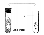 Observe the figure: What is the acid in the experiment. Find out the product that is relieved from egg husk and lemon juice? Write the observation that occurs in lime water.