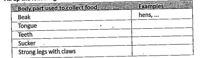 Fill up the following table.