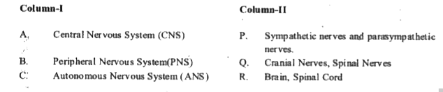 Match the column I with Column II.