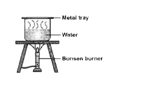A metal tray was used to cover a beaker of boiled water as shown in the diagram. The beaker and metal tray were then removed from the tripod stand and left on the table. After two minutes, which of the following can be observed?