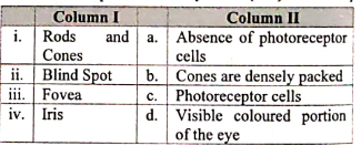 Match the following columns and select correct option