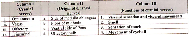 Match the following: