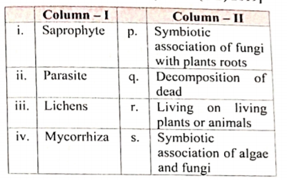 ocr_image