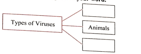 Complete chart and explain in your words.