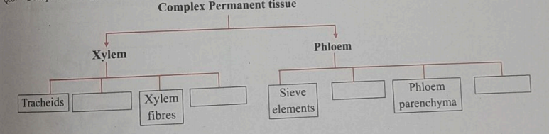 Answer the following:  Complete the given flow chart.