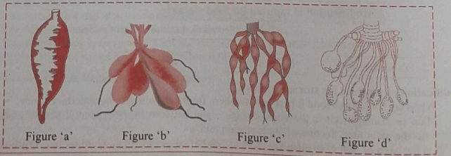 ocr_image