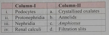 Match the items in Column-I with those in Column-II      select the correct option from the following: