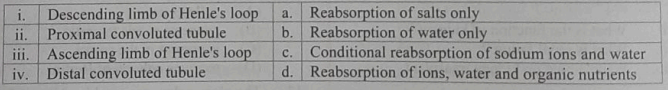 Match the following parts of a nephron with their function: