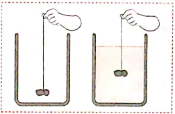 Take a long rubber band and cut it at one point . At one of its ends tie a clean washed stone or a 50g weight as shown in figure   Now hold the other end of the rubber band and make a mark there . Keep the stone hanging in air and measure the length of the rubber band from the stone to the mark made earlier . now take water in a pot and hold the rubber band at such a height that the stone sinks in it . again measure the length of the rubber band up to the mark . :   What is observed ?:
