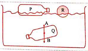 Answer the following questions :   Observe the given figure and answer the following questions :   What are the forces 'A' and 'B' ?