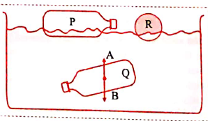 Answer the following questions :   Observe the given figure and answer the following questions :   Explain the reason behind floating of objects P and R