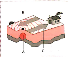 Question based on diagram :   Identify A,B and C shown in the following diagram depicting the occurrence of an earthquake .: