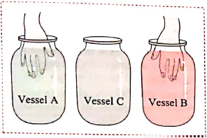Take three similar vessels . Let us call them A,B and C ( see figure below )   Fill A with hot water and B with cold water . Put some water from A and B in C .   Dip you right hand in A  and left hand in B , and keep them immersed for 2 to 3 minutes .   Now dip both the hands in C .:   What do you feel ?: