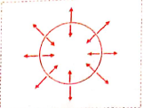 Questions based on diagram :  The figure below shows forces acting on a star :   What does an inward arrow indicate ? :