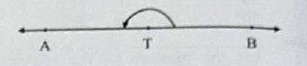 Observe the figure and answer the following questions :   What kind of angle is /ATB ? :