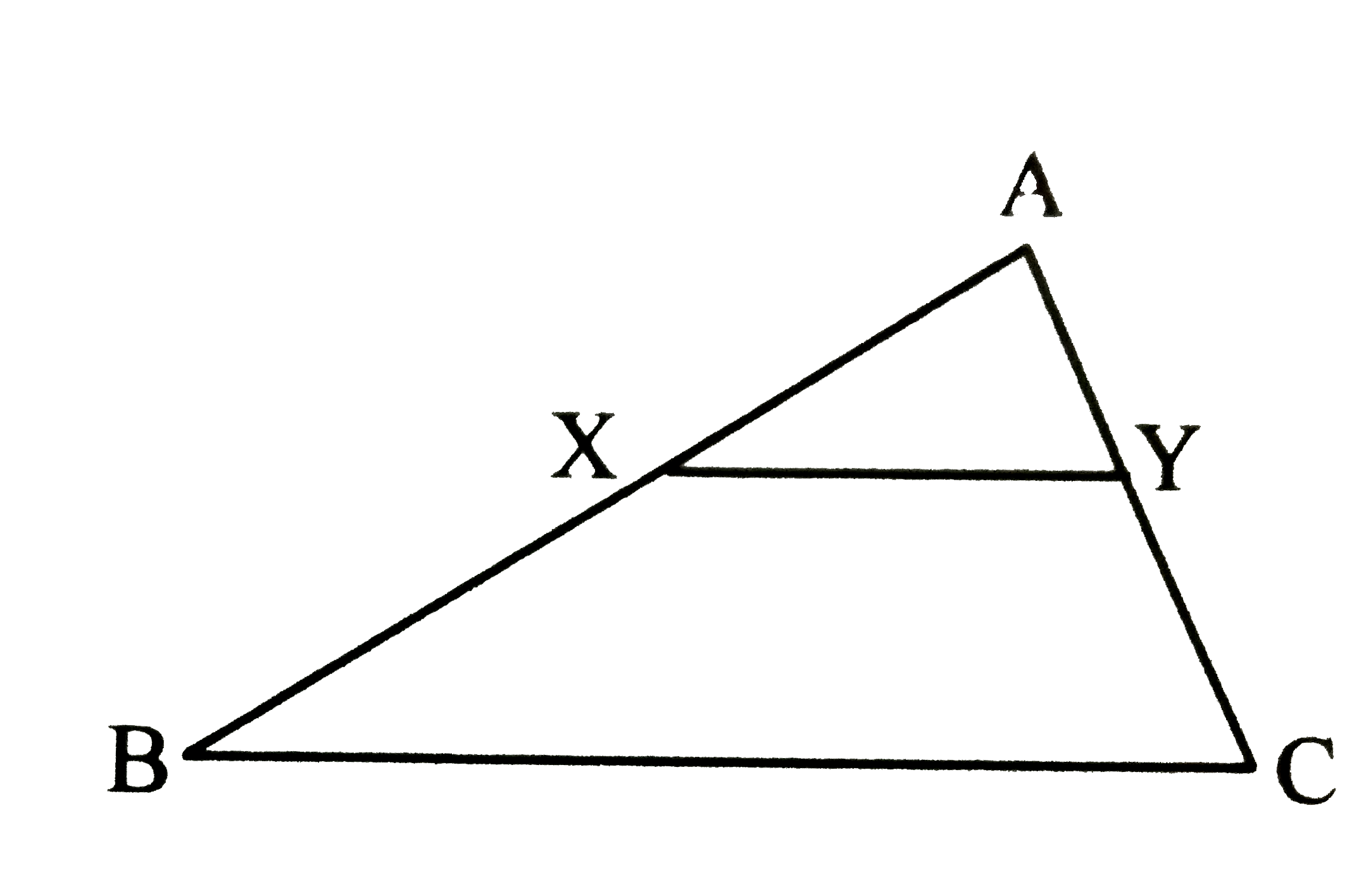 In the adjoining figure, seg XY abs()seg BC, then which of the following statements is true?