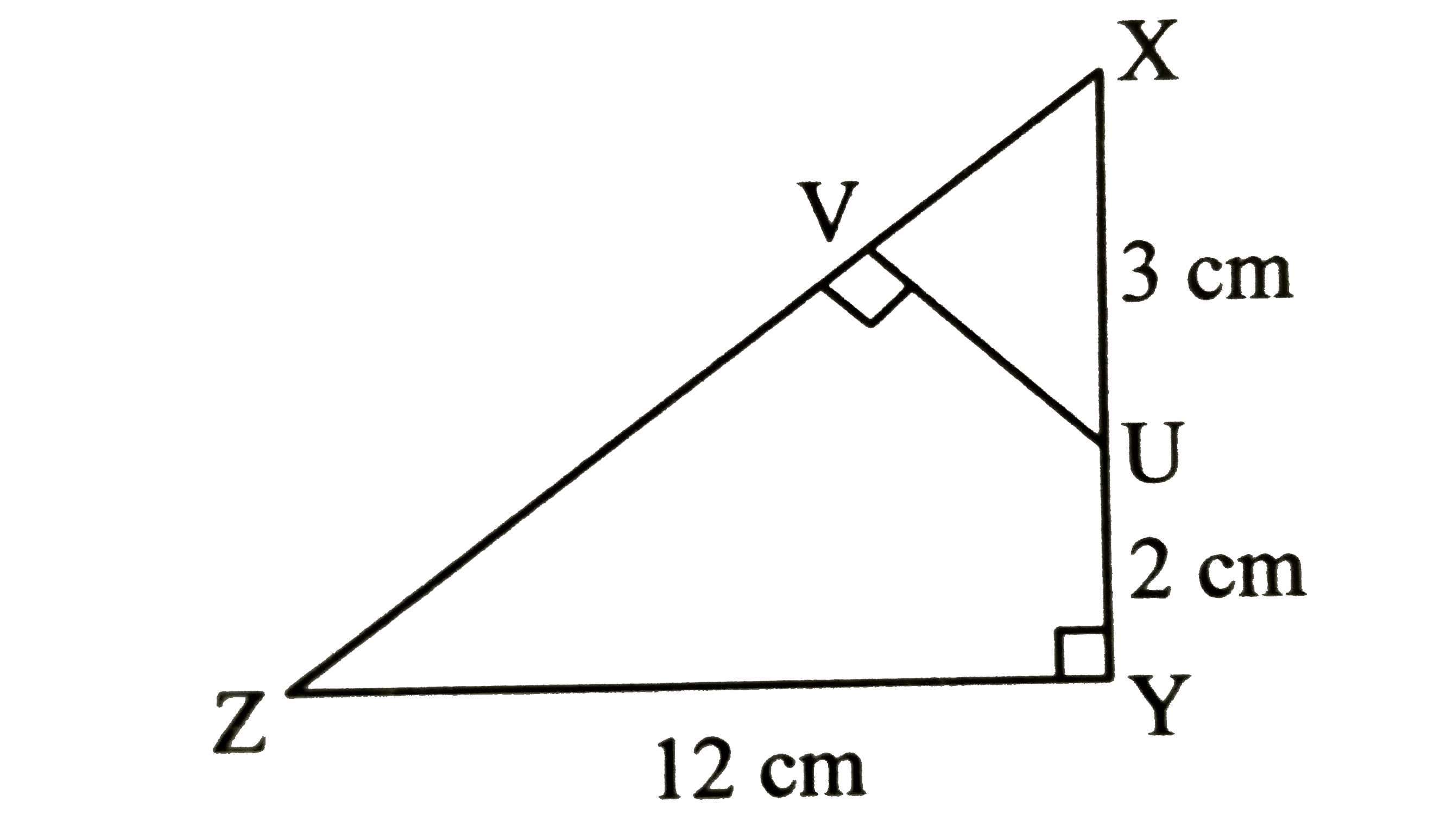 In the figure, if DeltaXYZ is right angled at Y and UVbotXZ, XZ = 13 cm , then the lengths of XV and UV respectively are.