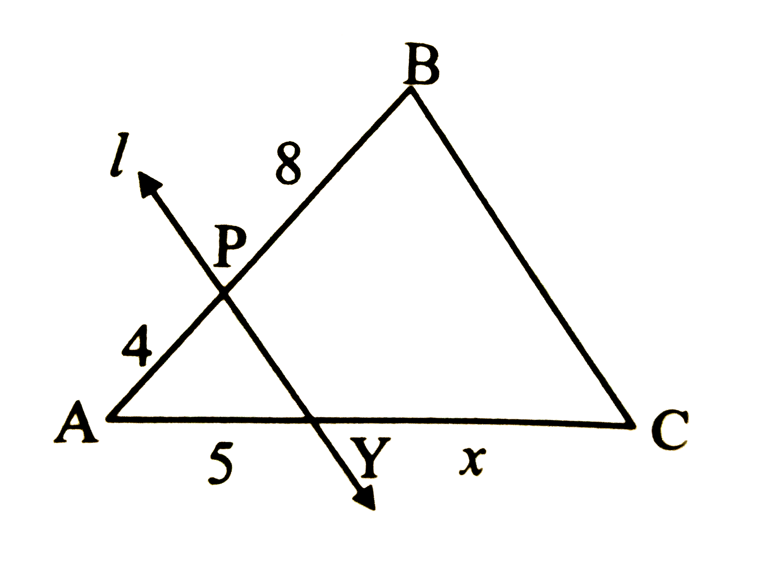 In the given figure, line l abs() side BC, AP = 4, PB = 8, AY = 5 and YC= x. Find x.