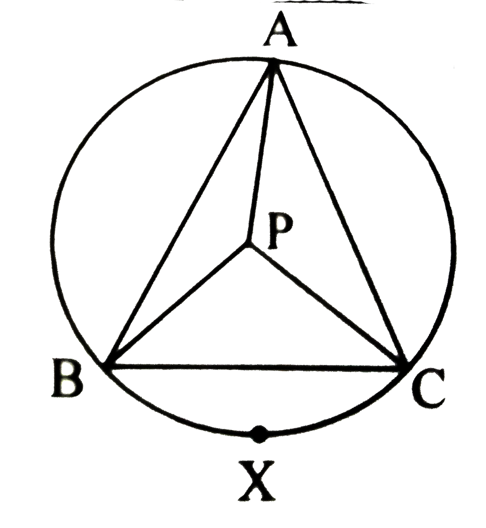 In the adjoining figure, P is the circumcentre of the  DeltaABC.mangle APC=118^@ and mangle PBC=45^@,  then find:   (i) m(arc BXC)   (ii) m(arc BCA)