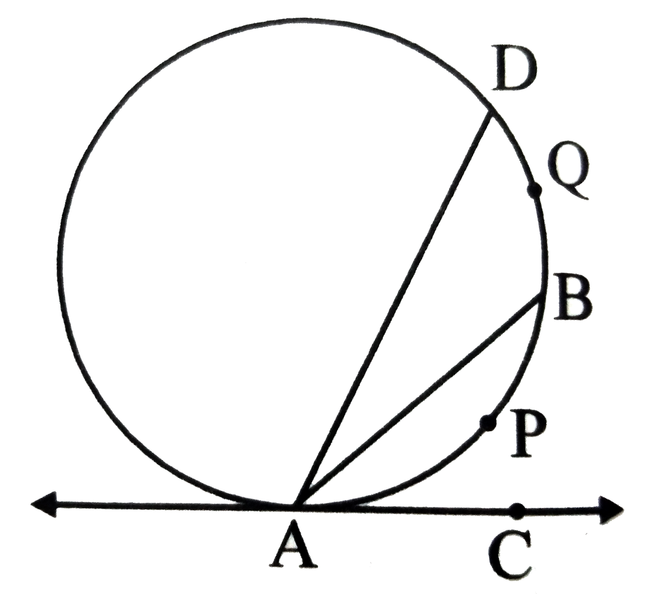 In the adjoining figure, seg AB and seg AD are chords of the circle . C is a point on tangent to the circle at point A. IF m(arc APB)=80^@and angleBAD=30^@, then find    (i) angleBAC (ii) m(arc BQD)