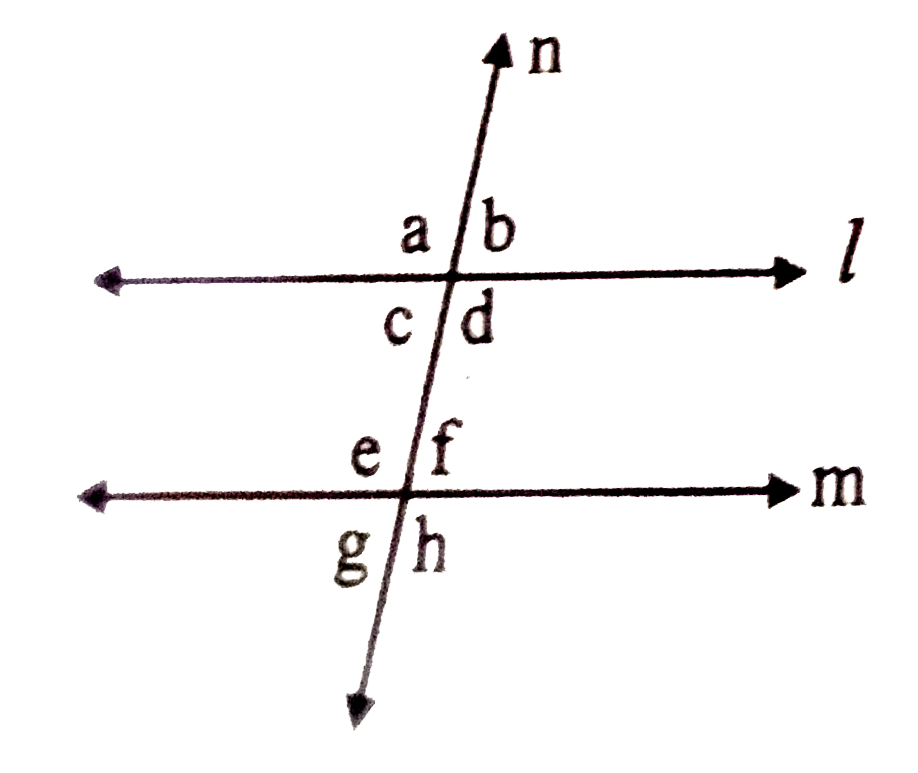 As shown in the figure, if lines / and m are parallel, then write algebraic equations using the property of interior angles.