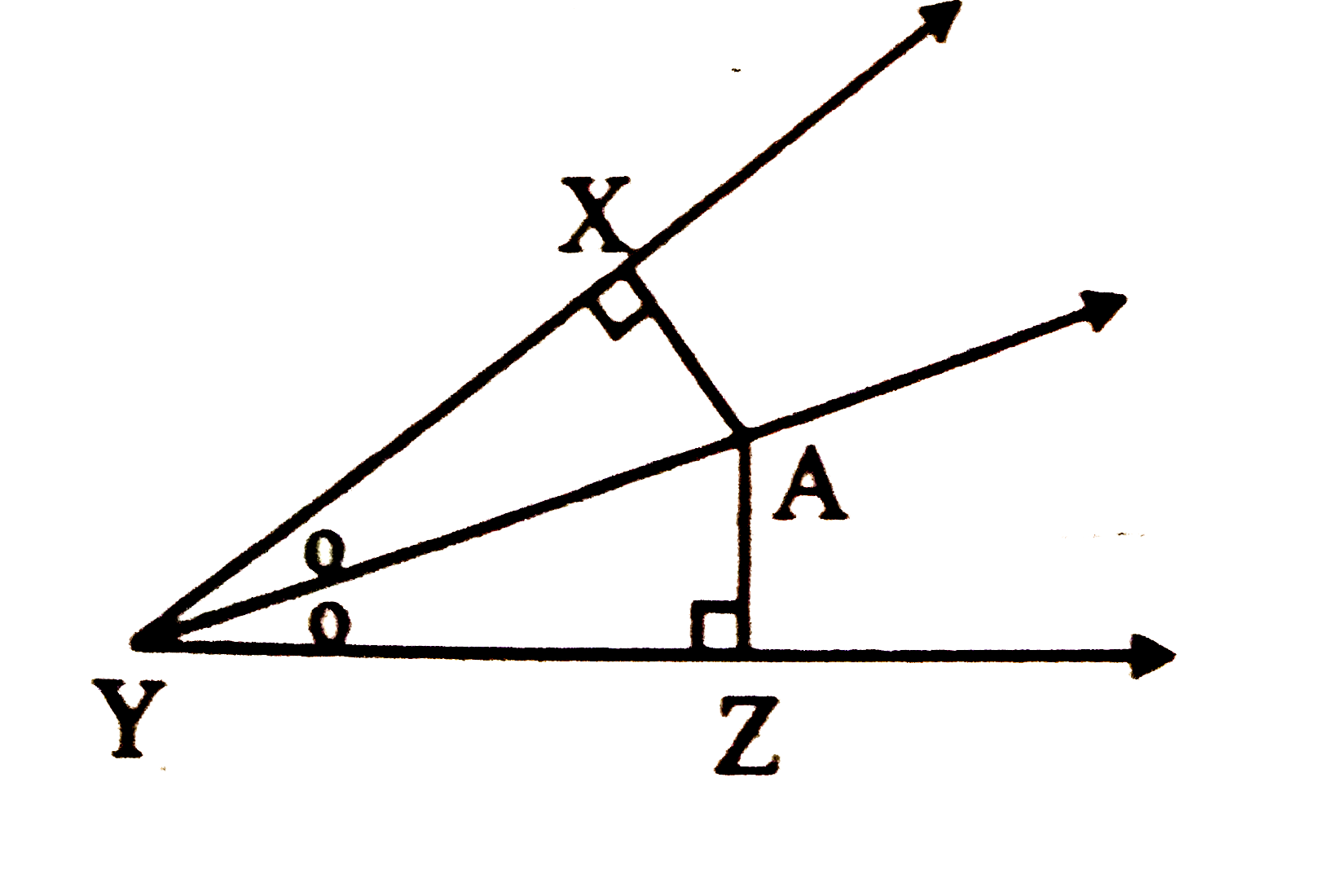 In the given figure, point A is on the bisector of angle XYZ. If AX = 5.5 cm,