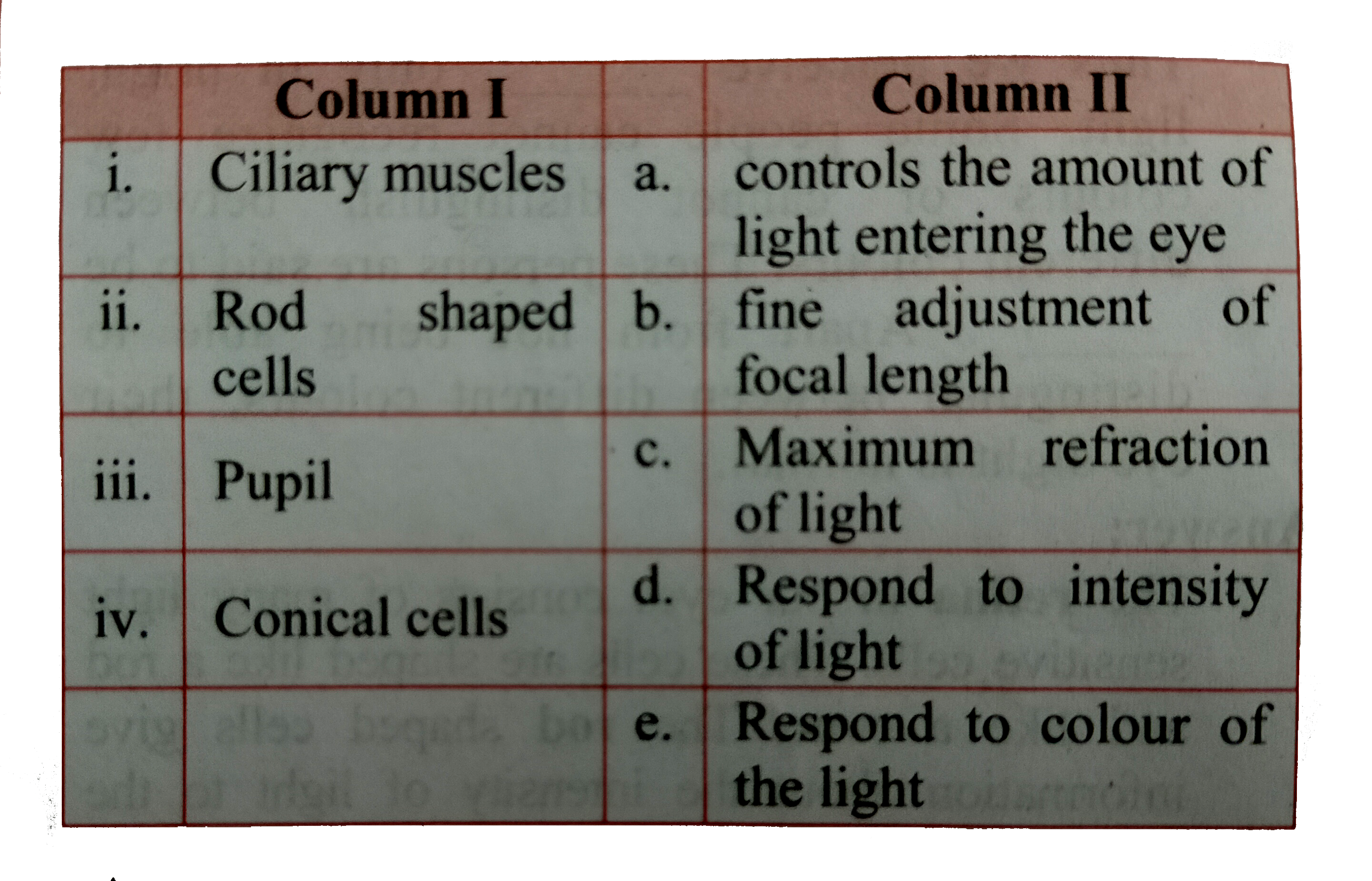 Match the parts of human eye given in column I with their functions given in column II.