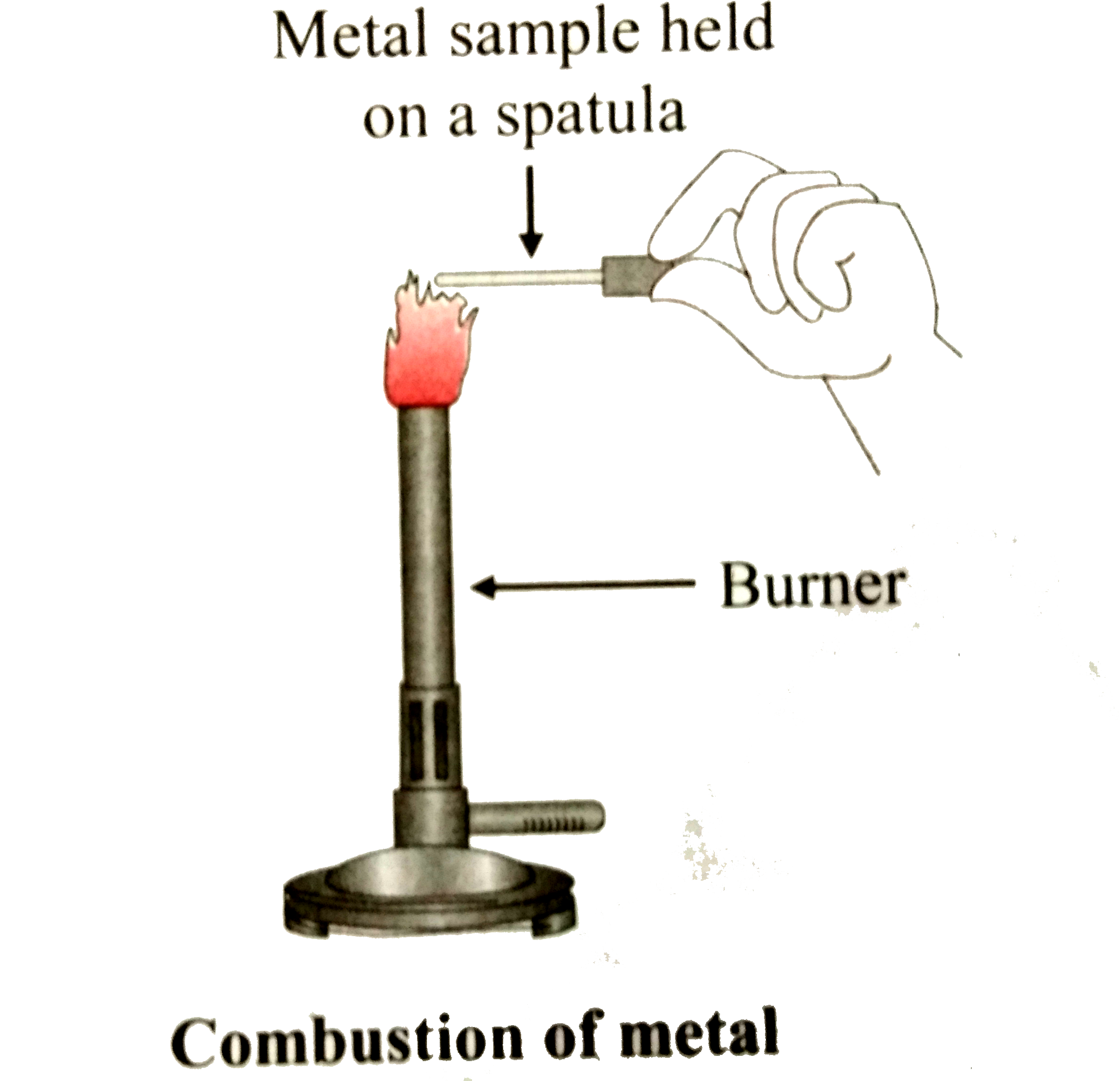Apparatus: Pairs of tongs or spatula, knife, burner, etc.    Chemicals: Samples of aluminium, copper, iron, lead, magnesium, zinc and sodium.    Procedure: Hold the sample of each of the above metals at the top of the flame of a burner with the help of a pair of tongs, or a spatula       What is the colour of the flame while the metal is burning on the flame?