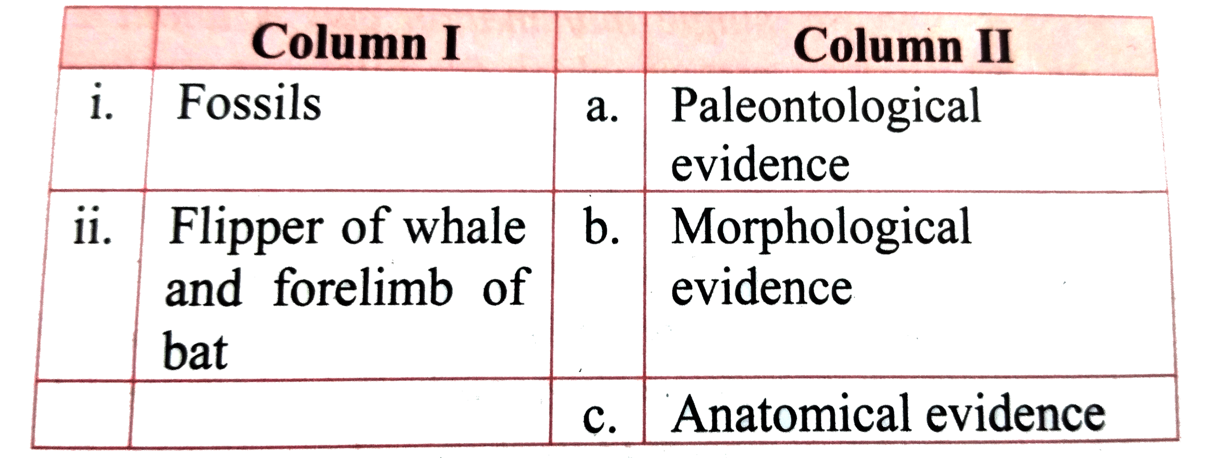 Match the following columns