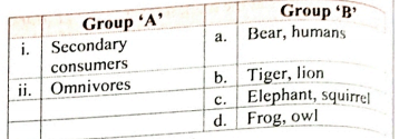 Match the following   Match the trophic levels given in Group 'A' with their examples given in Group 'B'.