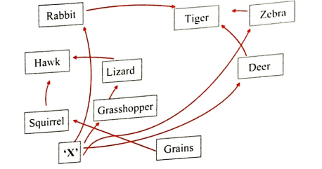 Answer the following   Observe the given food web and answer the questions given below it.      What would be the trophic level of zebra?