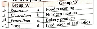 Match the following