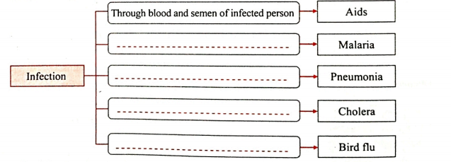 Answer the following   Complete the given flowchart.