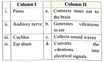 Match the following   Match the parts of human ear given in column I with their functions given in column II..
