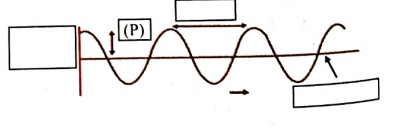 Question based on diagram  Label the given diagram of sound waves and redraw it. Define the term (P) in one sentence.